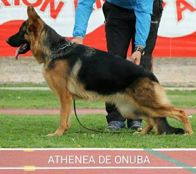 DE ONUBA - Juan Jesús