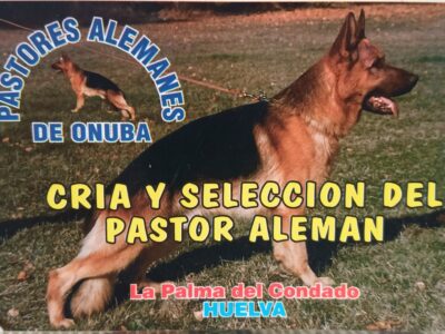 DE ONUBA - Juan Jesús