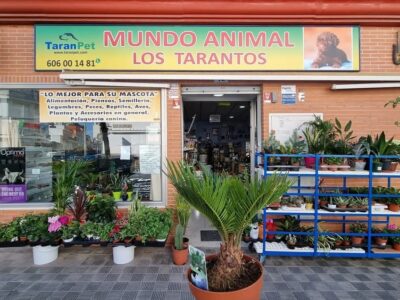 MUNDO ANIMAL LOS TARANTOS