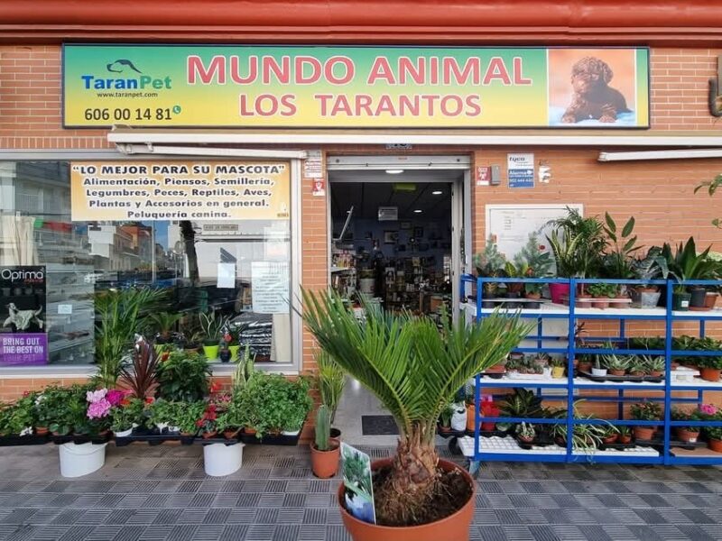 MUNDO ANIMAL LOS TARANTOS